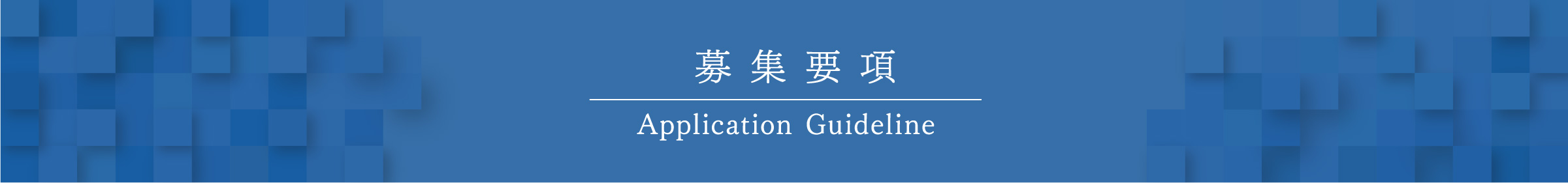 先輩社員の声
