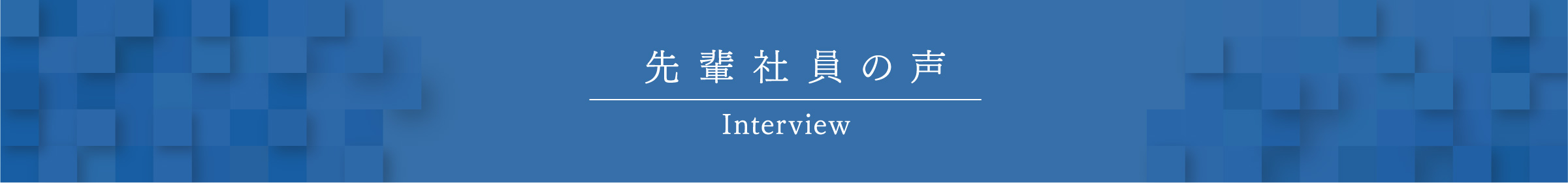 先輩社員の声